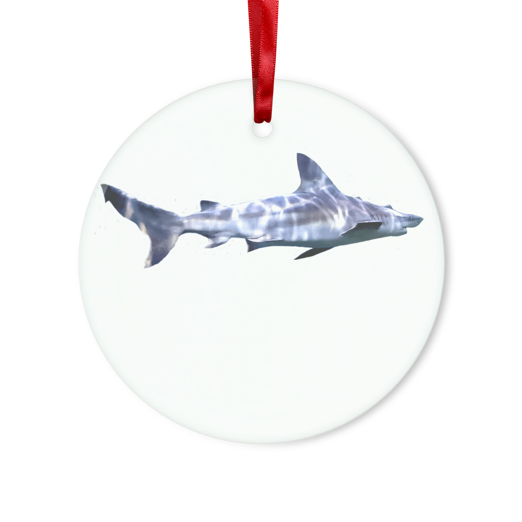 Shark Glass Hanging Ornament featuring a round and heart shape, elegantly designed with a red ribbon and gold string, perfect for Christmas decoration.