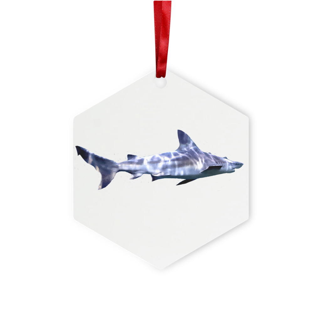 Shark Metal Hanging Ornament in hexagon and star shapes, featuring a gloss white finish and red ribbon for hanging.