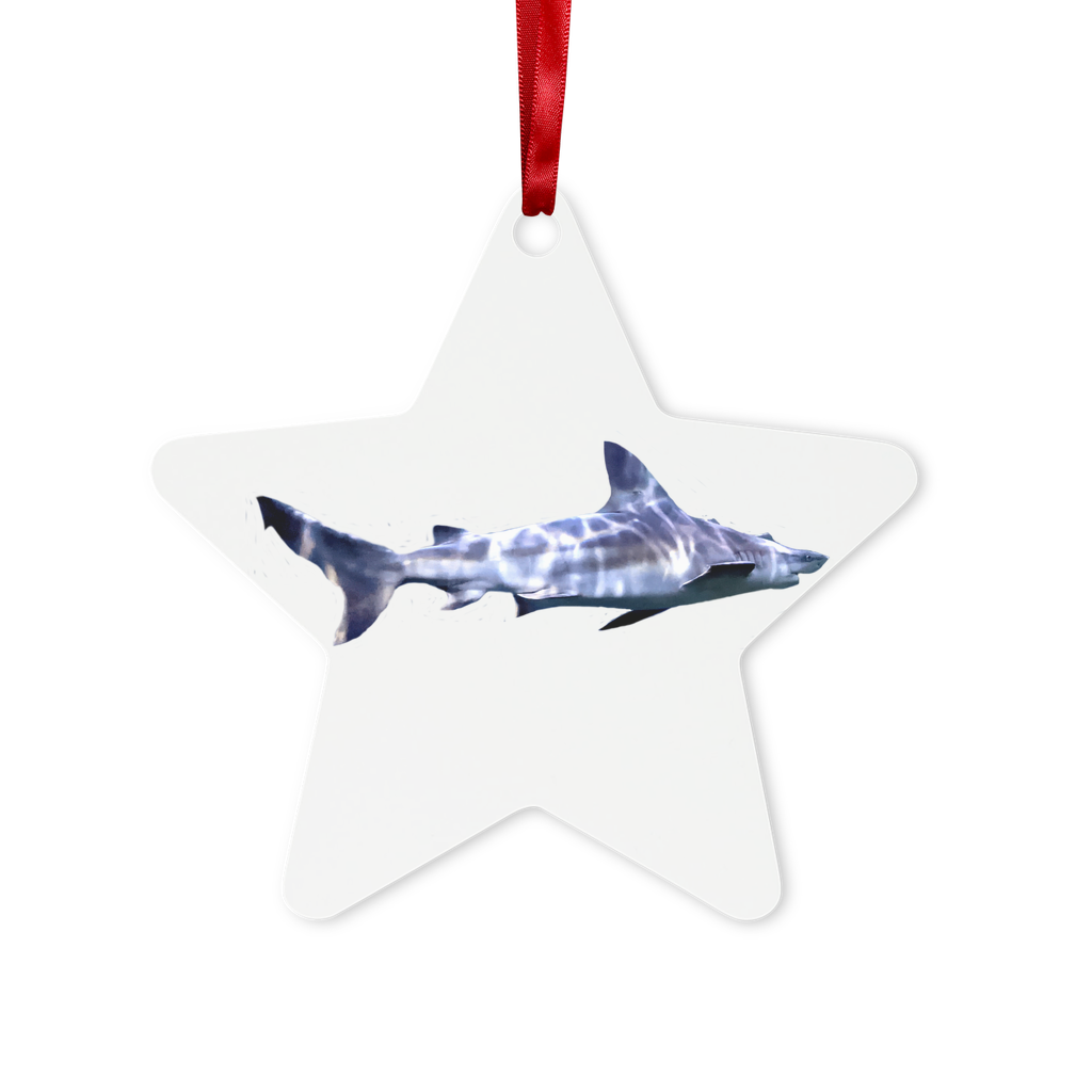 Shark Metal Hanging Ornament in hexagon and star shapes, featuring a gloss white finish and red ribbon for hanging.