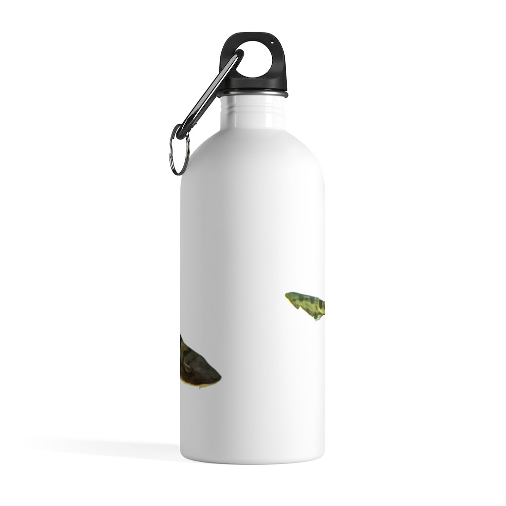 Shark Stainless Steel Water Bottle with a plastic screw top and carabiner, showcasing its sleek design and quality print.