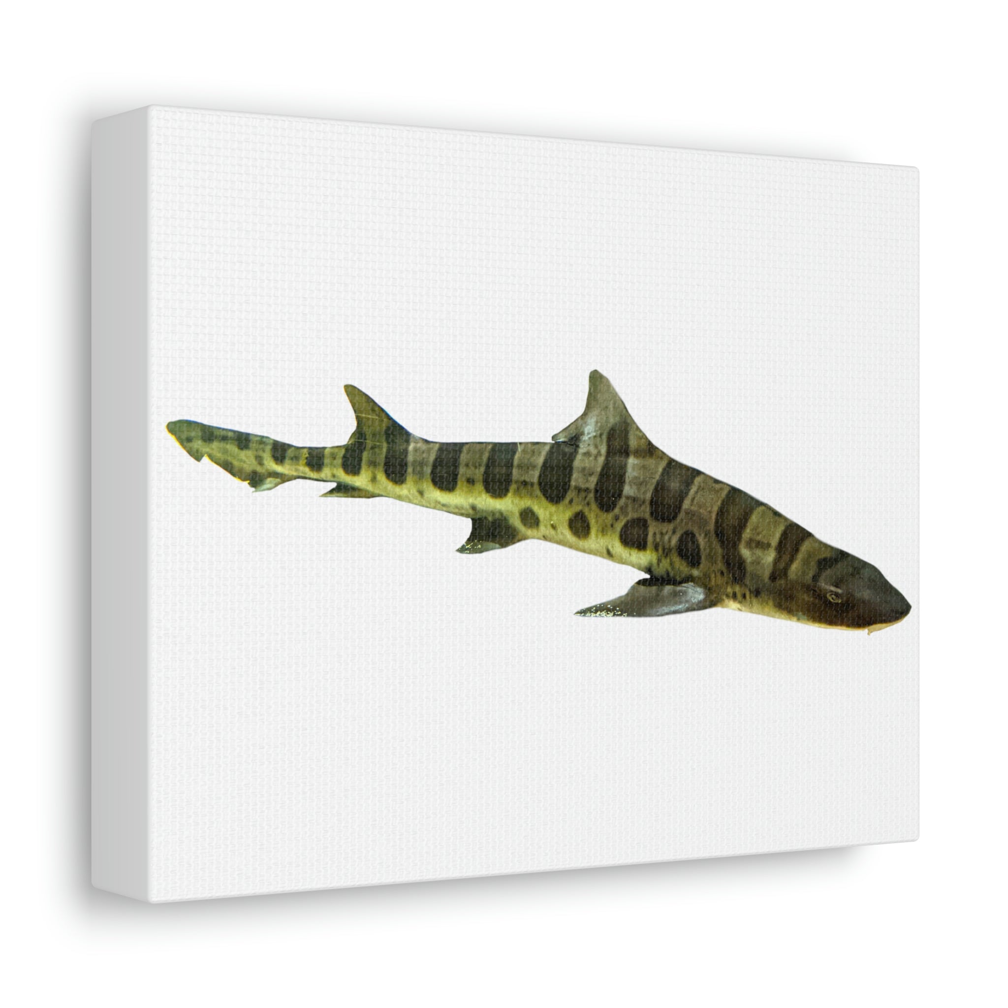 A beautifully printed Shark Stretched Canvas showcasing vibrant colors and intricate details, framed in a sturdy wooden structure, perfect for indoor decoration.