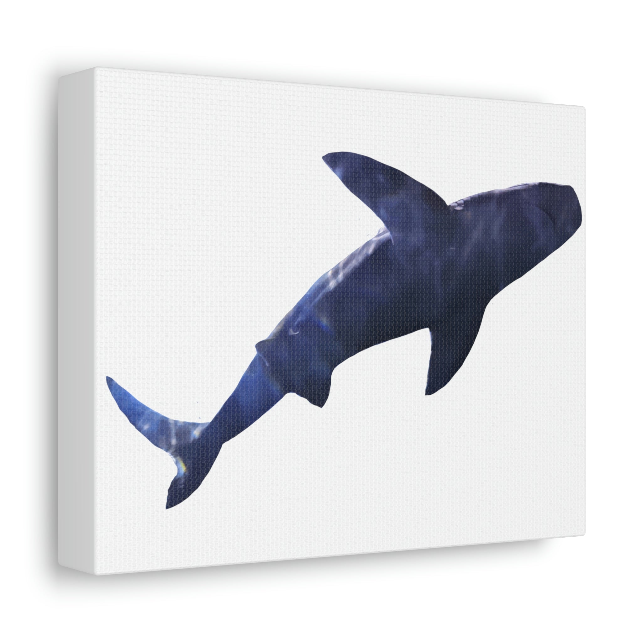 A vibrant Shark Stretched Canvas artwork displayed on a wall, showcasing high-quality print and a sturdy wooden frame.