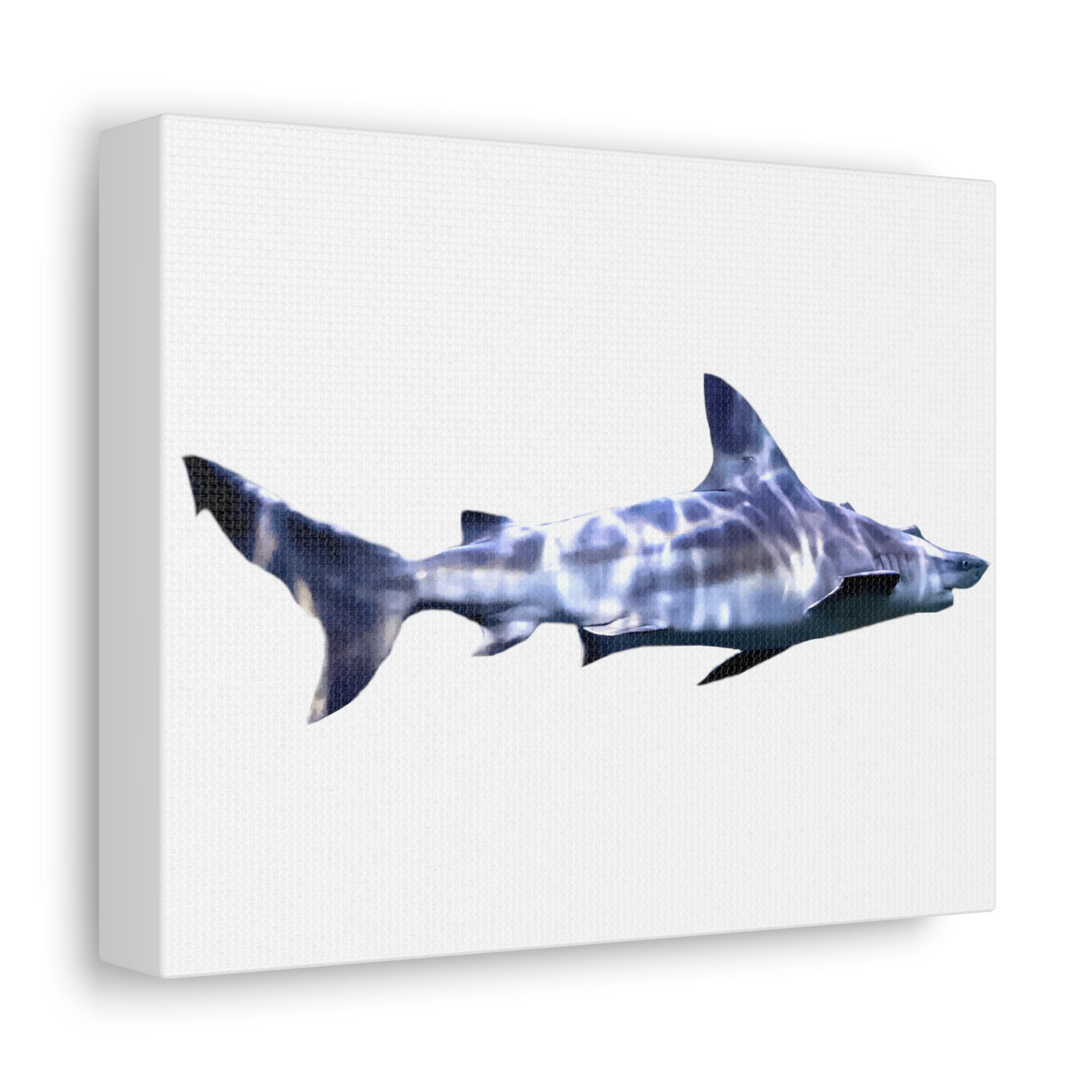 A vibrant Shark Stretched Canvas artwork, showcasing high-quality printing on a durable wooden frame, perfect for indoor decoration.