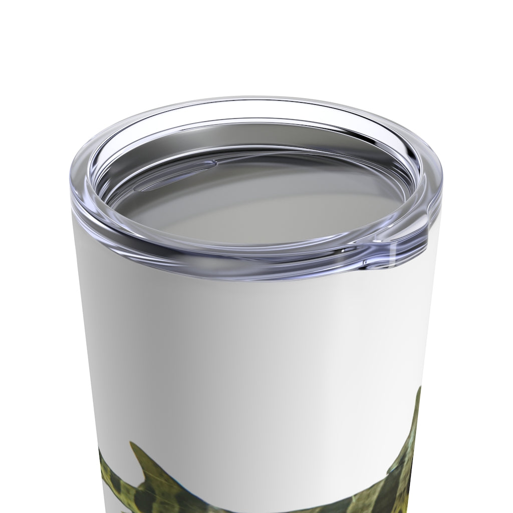 A sleek stainless steel Shark Tumbler 20oz with a see-thru plastic lid, showcasing its rounded corners and stylish design.