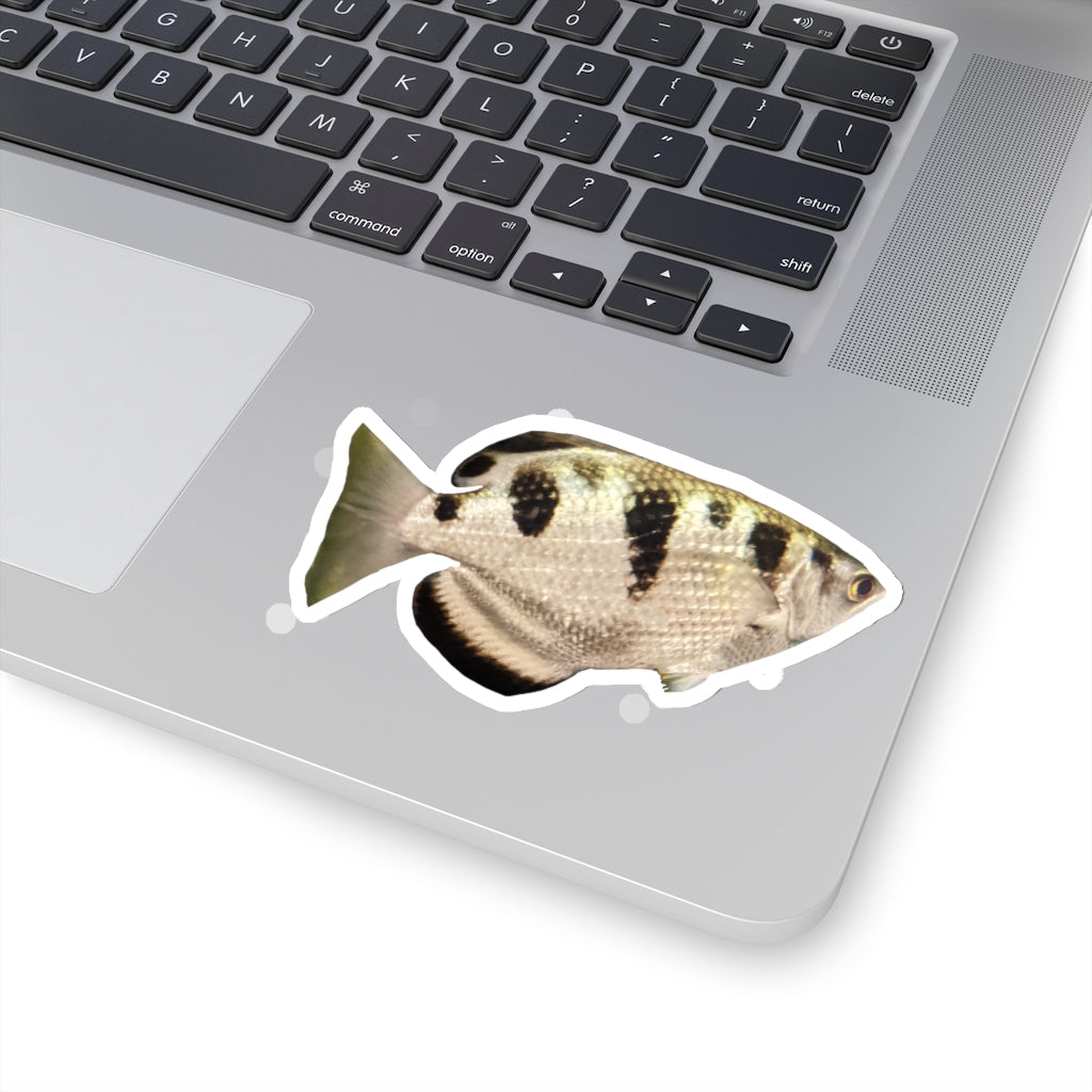 Silver and black fish kiss-cut stickers showcasing unique designs and customizable shapes.