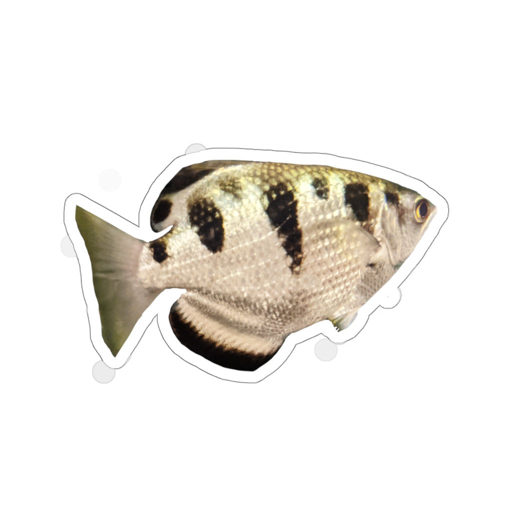 Silver and black fish kiss-cut stickers showcasing unique designs and customizable shapes.