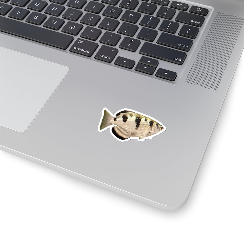 Silver and black fish kiss-cut stickers showcasing unique designs and customizable shapes.