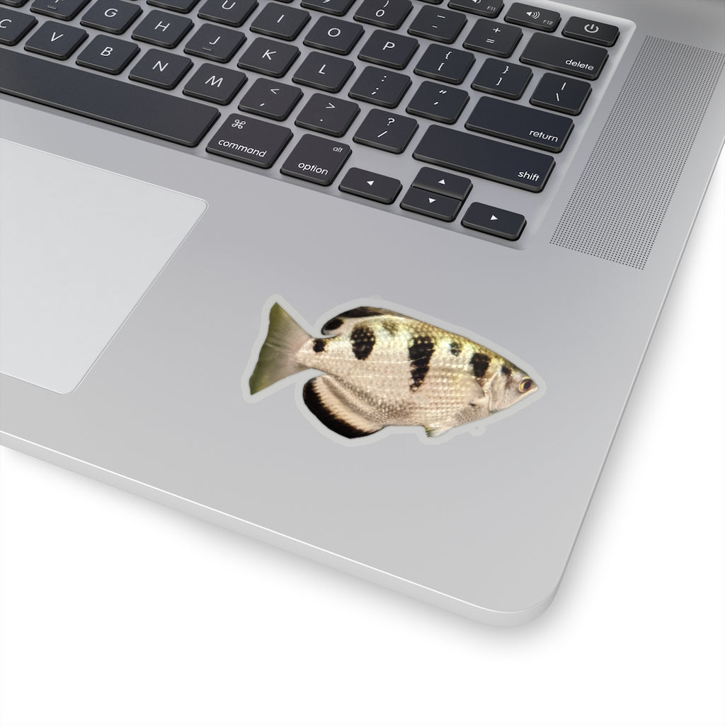 Silver and black fish kiss-cut stickers showcasing unique designs and customizable shapes.