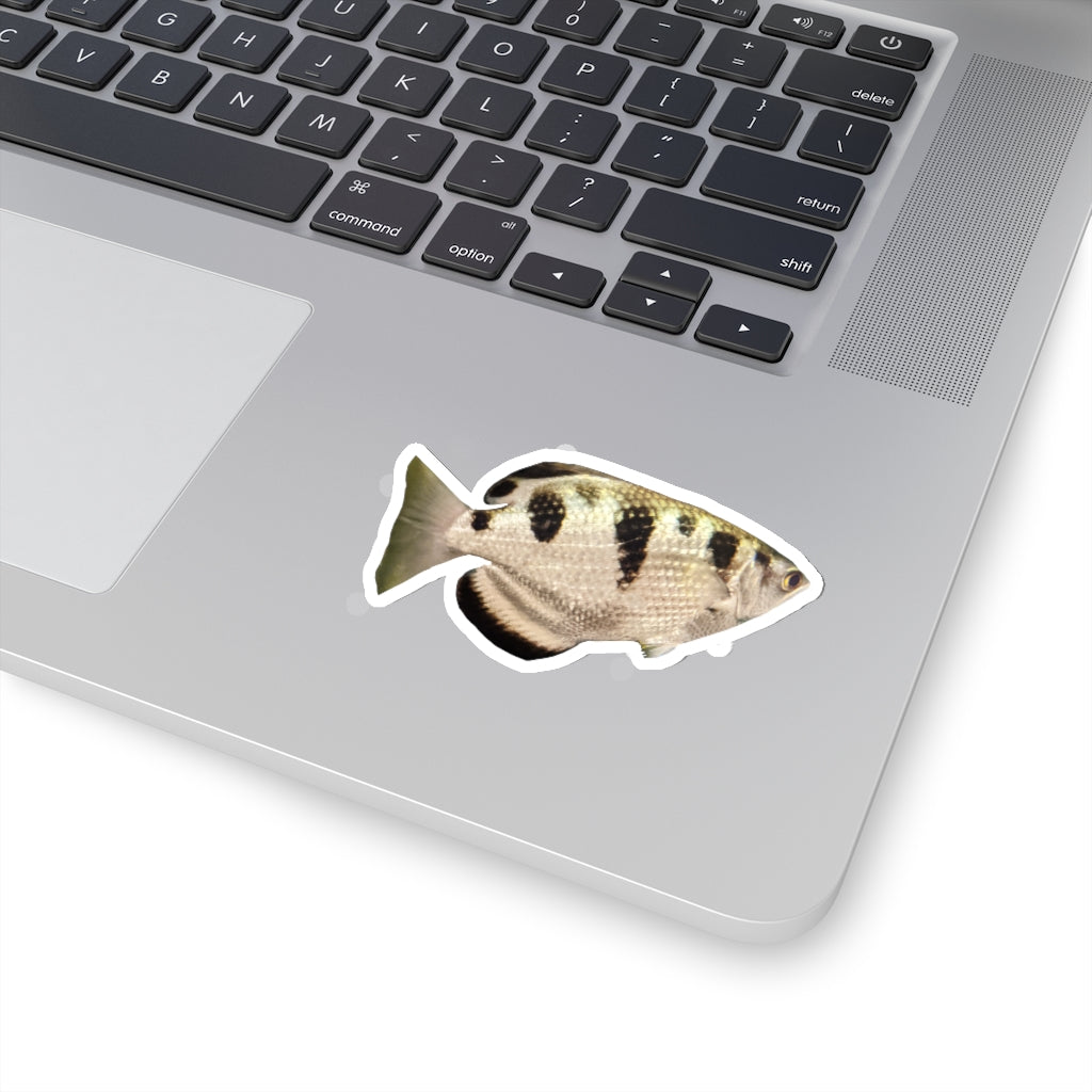 Silver and black fish kiss-cut stickers showcasing unique designs and customizable shapes.