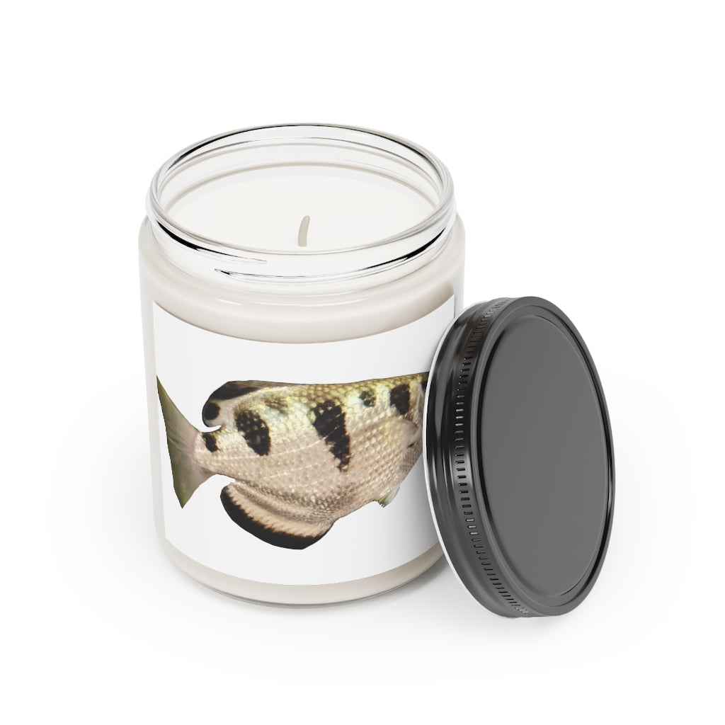 A stylish Silver and Black Fish Scented Candle in a glass container, showcasing its elegant design and soothing aroma.