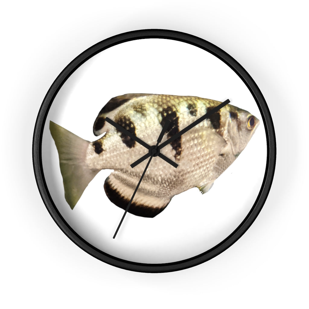 Stylish Silver and Black Fish Wall Clock with wooden frame and plexiglass face, perfect for indoor decor.