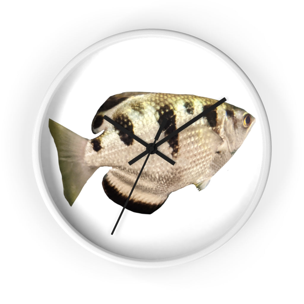 Stylish Silver and Black Fish Wall Clock with wooden frame and plexiglass face, perfect for indoor decor.