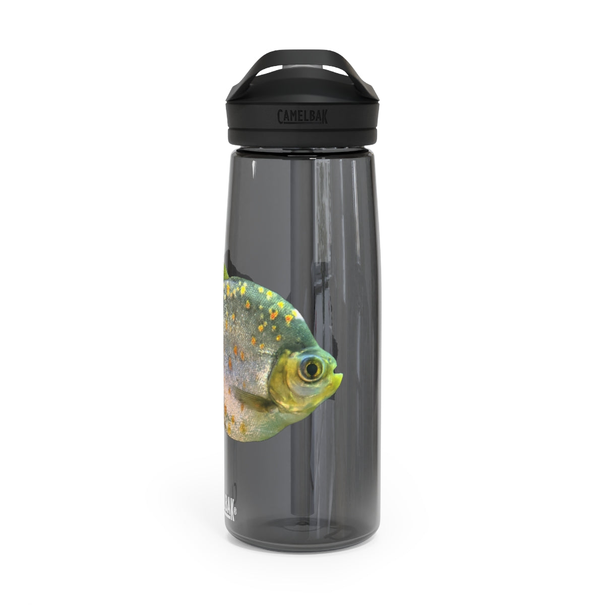 Silver and Spec Fish CamelBak Eddy® Water Bottle in 20oz and 25oz sizes, showcasing its durable Tritan™ material and spill-proof design.