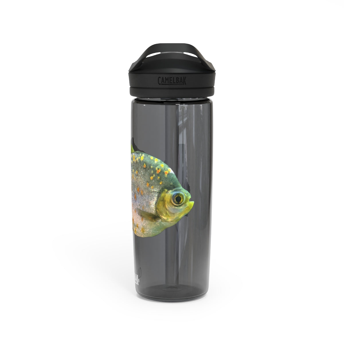 Silver and Spec Fish CamelBak Eddy® Water Bottle in 20oz and 25oz sizes, showcasing its durable Tritan™ material and spill-proof design.