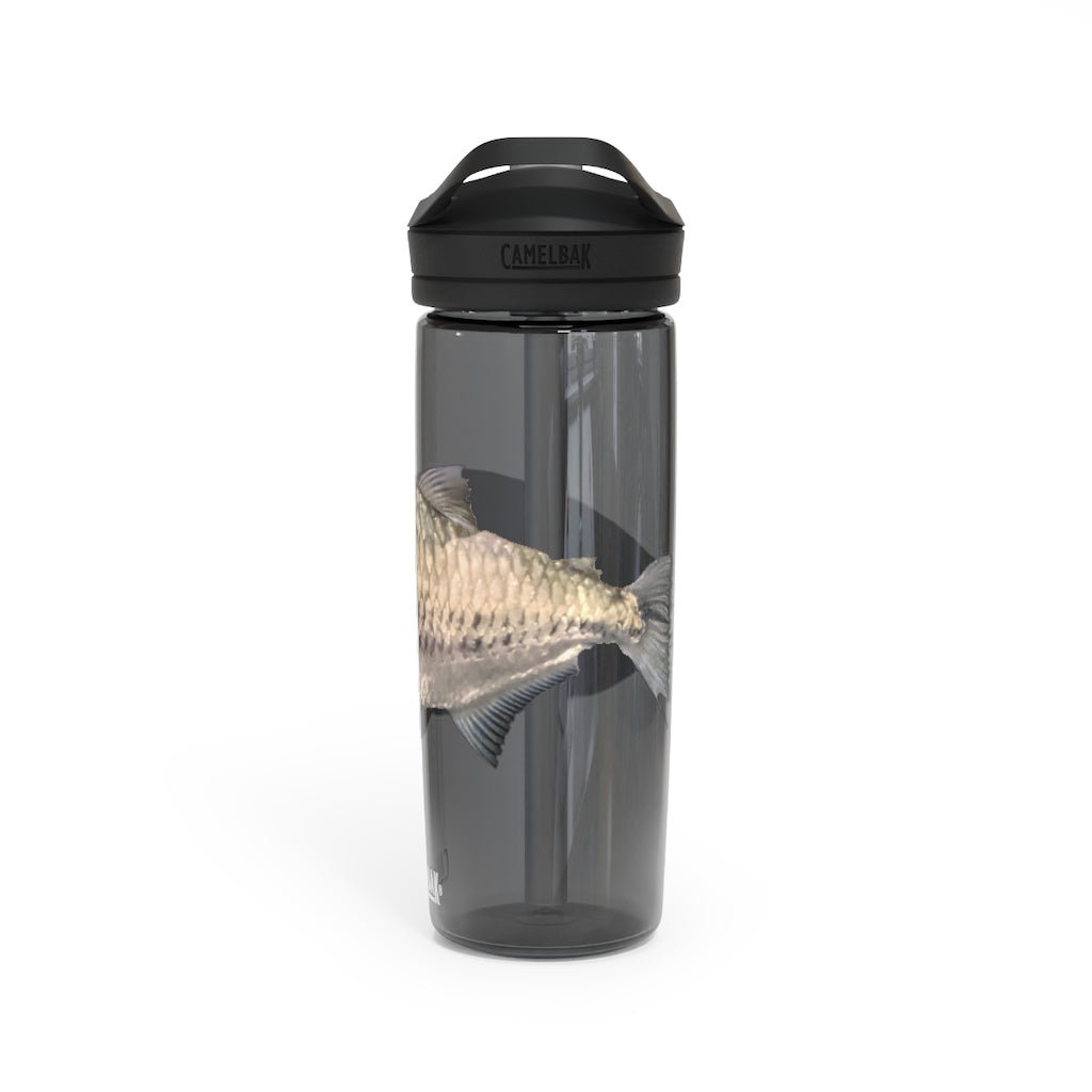 Silver Fish CamelBak Eddy® Water Bottle in 20oz and 25oz sizes, showcasing its robust design and easy-carry handle.