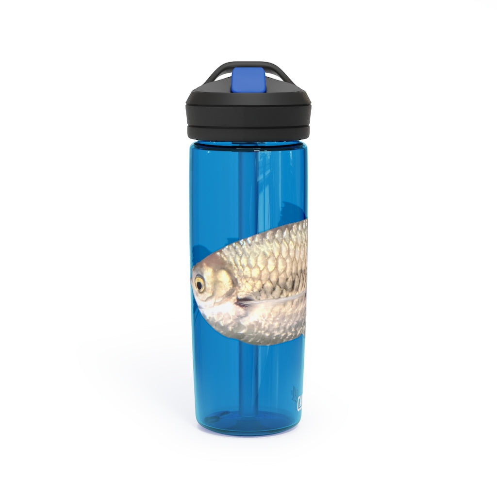 Silver Fish CamelBak Eddy® Water Bottle in 20oz and 25oz sizes, showcasing its robust design and easy-carry handle.