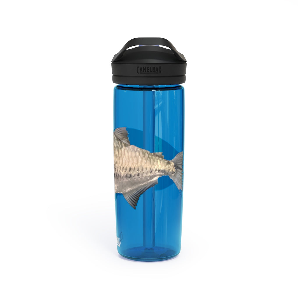 Silver Fish CamelBak Eddy® Water Bottle in 20oz and 25oz sizes, showcasing its robust design and easy-carry handle.