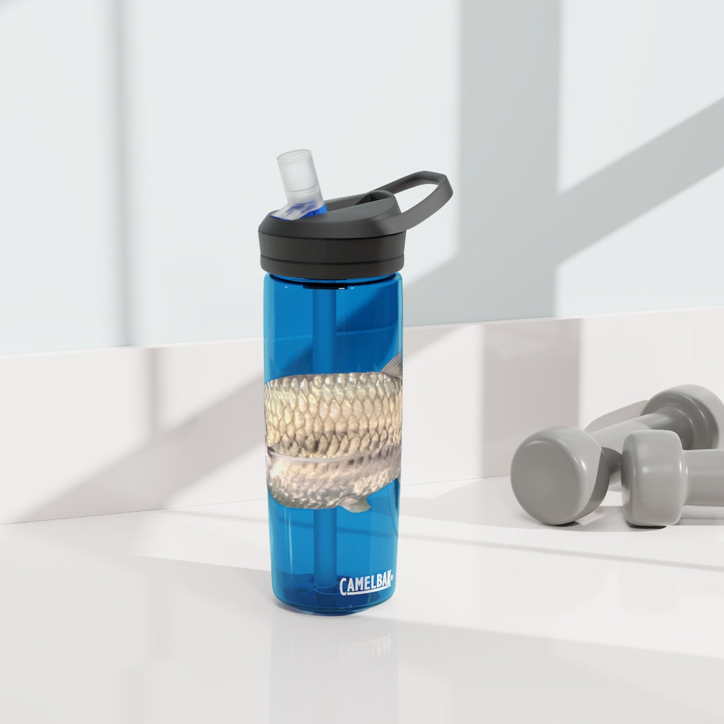 Silver Fish CamelBak Eddy® Water Bottle in 20oz and 25oz sizes, showcasing its robust design and easy-carry handle.