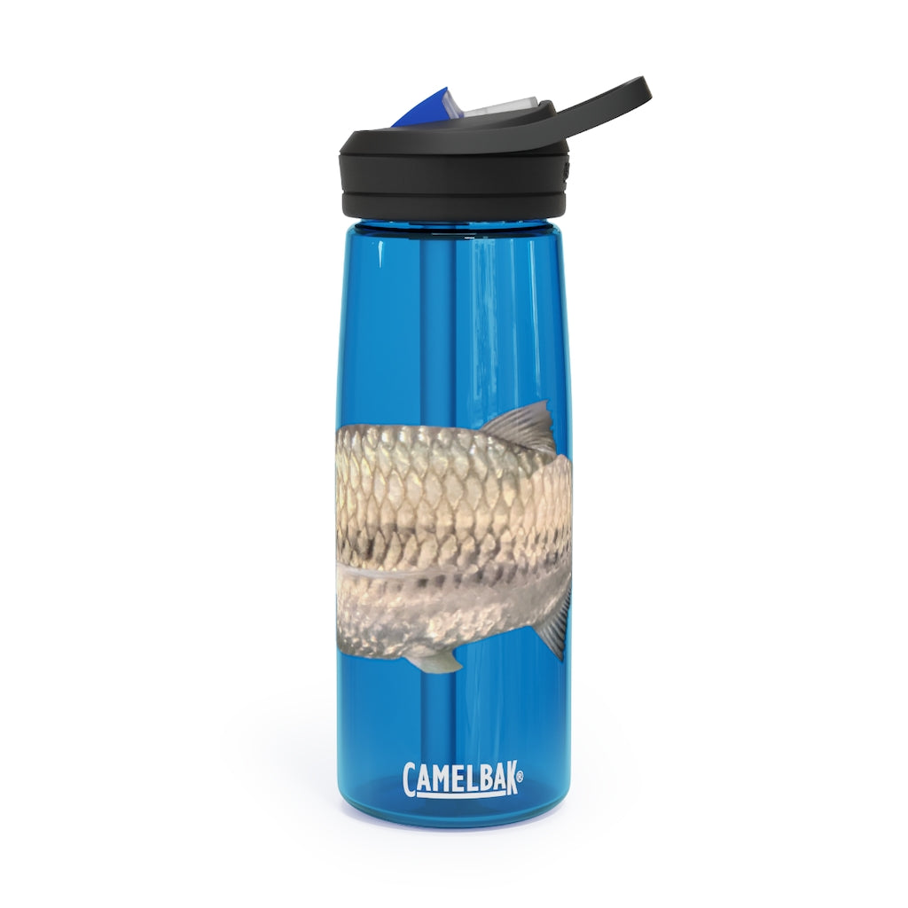 Silver Fish CamelBak Eddy® Water Bottle in 20oz and 25oz sizes, showcasing its robust design and easy-carry handle.