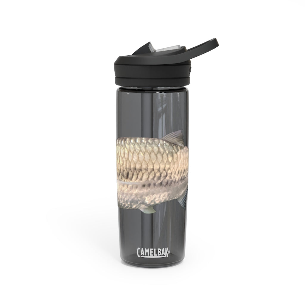 Silver Fish CamelBak Eddy® Water Bottle in 20oz and 25oz sizes, showcasing its robust design and easy-carry handle.