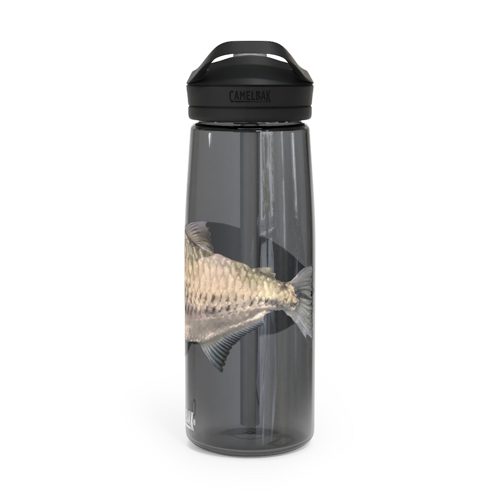 Silver Fish CamelBak Eddy® Water Bottle in 20oz and 25oz sizes, showcasing its robust design and easy-carry handle.