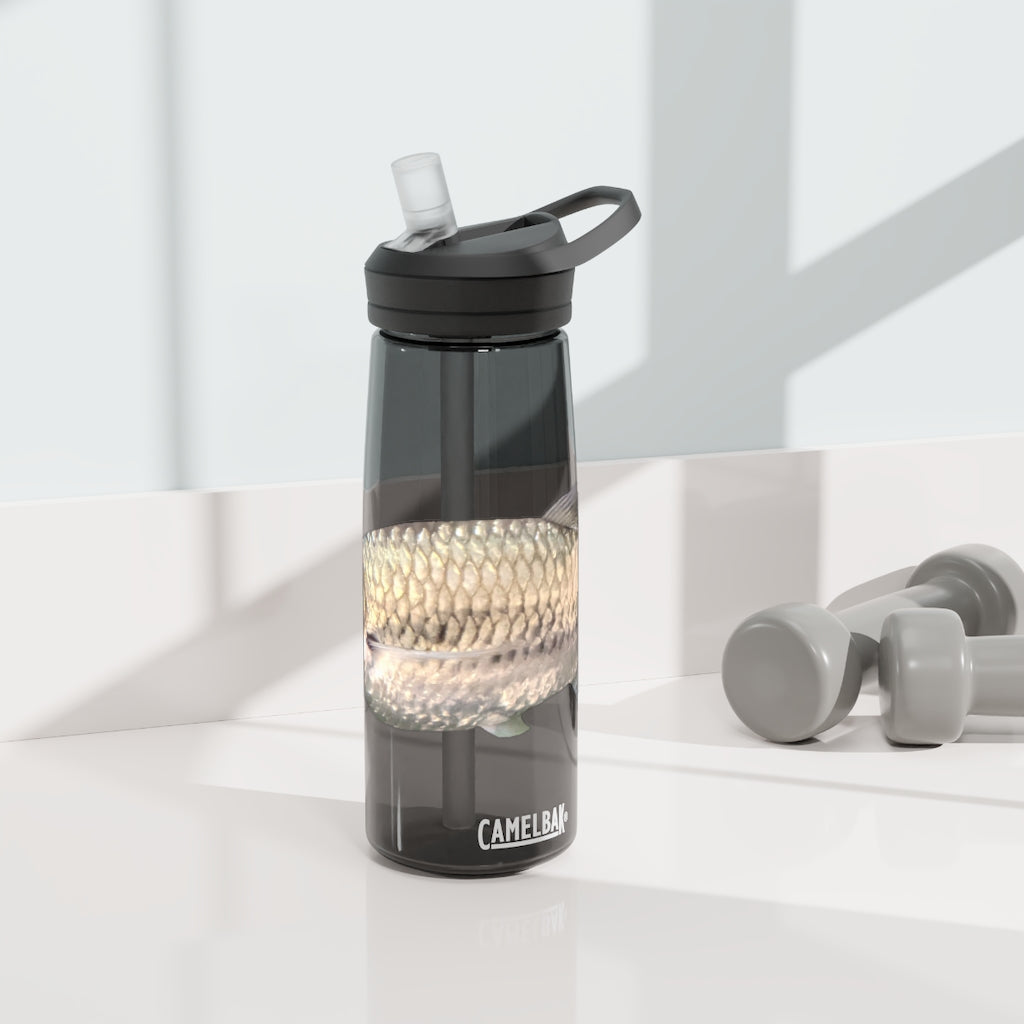 Silver Fish CamelBak Eddy® Water Bottle in 20oz and 25oz sizes, showcasing its robust design and easy-carry handle.