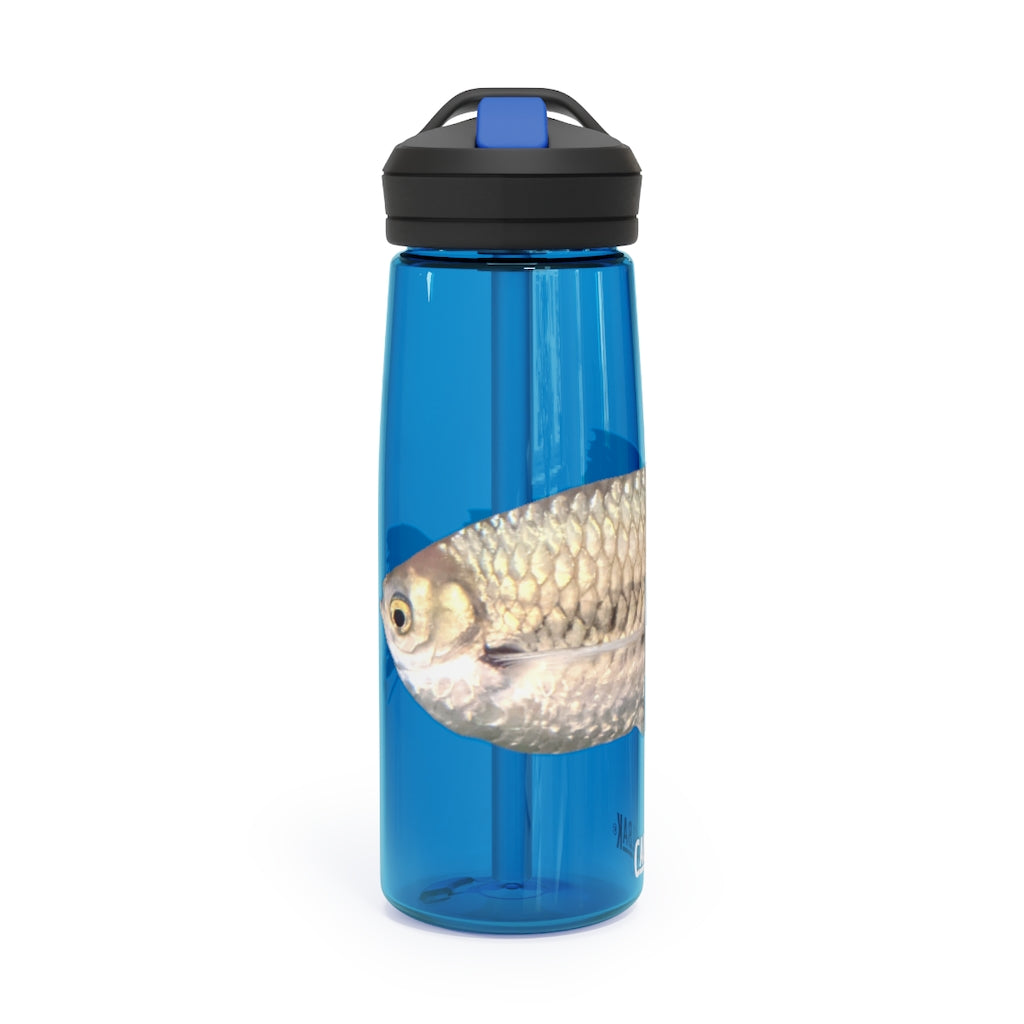 Silver Fish CamelBak Eddy® Water Bottle in 20oz and 25oz sizes, showcasing its robust design and easy-carry handle.