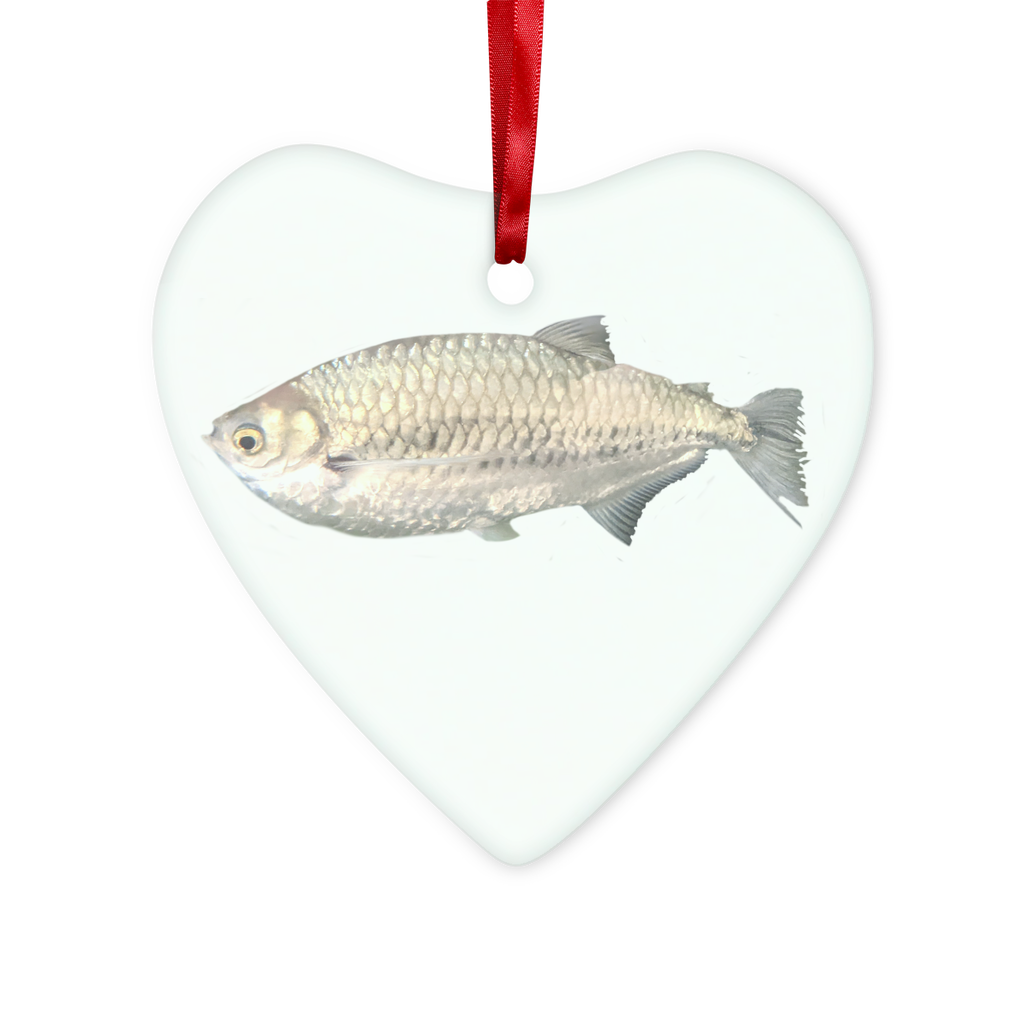 A beautiful Silver Fish Glass Hanging Ornament with a red ribbon and gold string, showcasing its round and heart shapes, elegantly packaged in a white box.