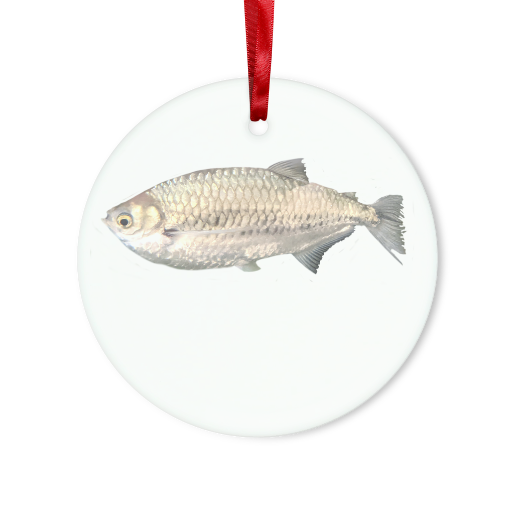 A beautiful Silver Fish Glass Hanging Ornament with a red ribbon and gold string, showcasing its round and heart shapes, elegantly packaged in a white box.