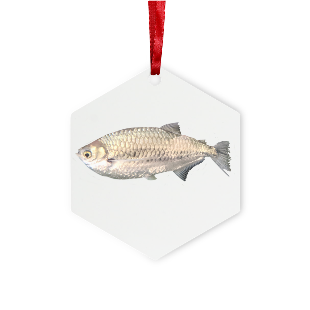 Silver Fish Metal Hanging Ornament with red ribbon, hexagon and star shapes, glossy white finish, elegantly packaged in a white box.