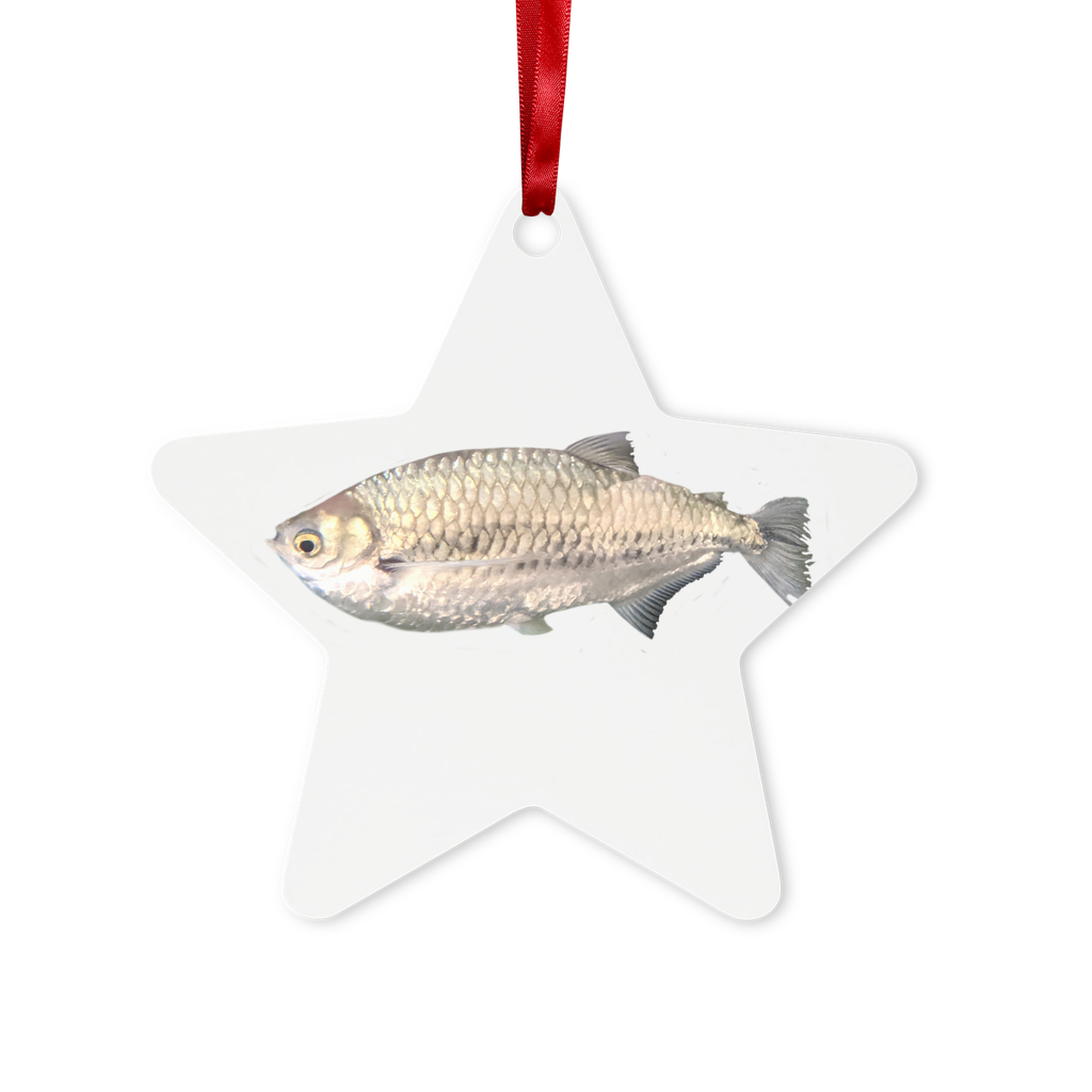 Silver Fish Metal Hanging Ornament with red ribbon, hexagon and star shapes, glossy white finish, elegantly packaged in a white box.