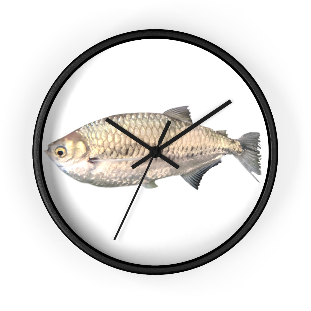 A stylish Silver Fish Wall Clock with a wooden frame and plexiglass face, featuring a unique fish design, perfect for indoor decor.