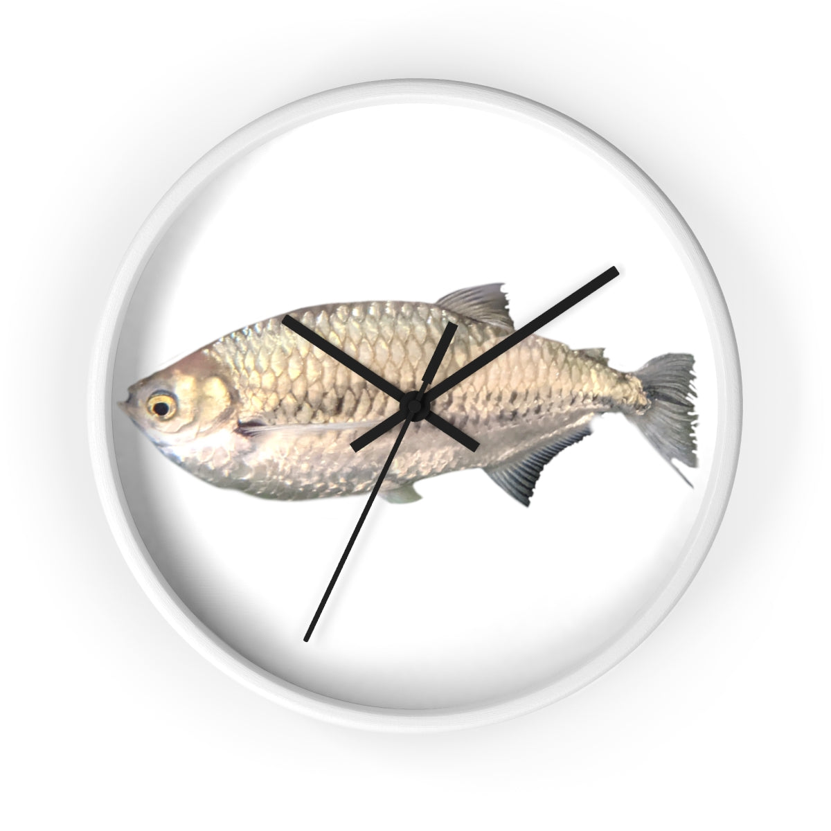 A stylish Silver Fish Wall Clock with a wooden frame and plexiglass face, featuring a unique fish design, perfect for indoor decor.