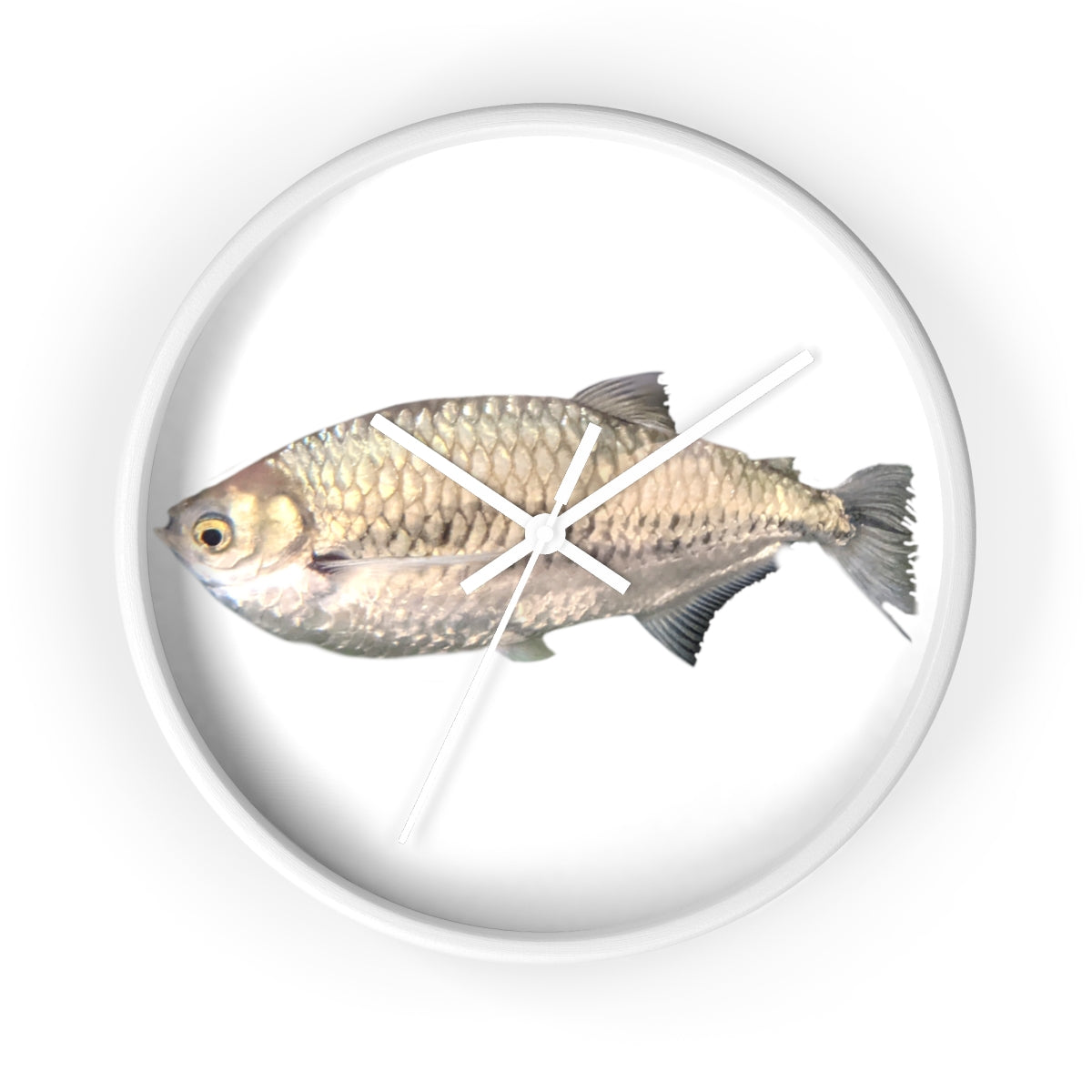 A stylish Silver Fish Wall Clock with a wooden frame and plexiglass face, featuring a unique fish design, perfect for indoor decor.