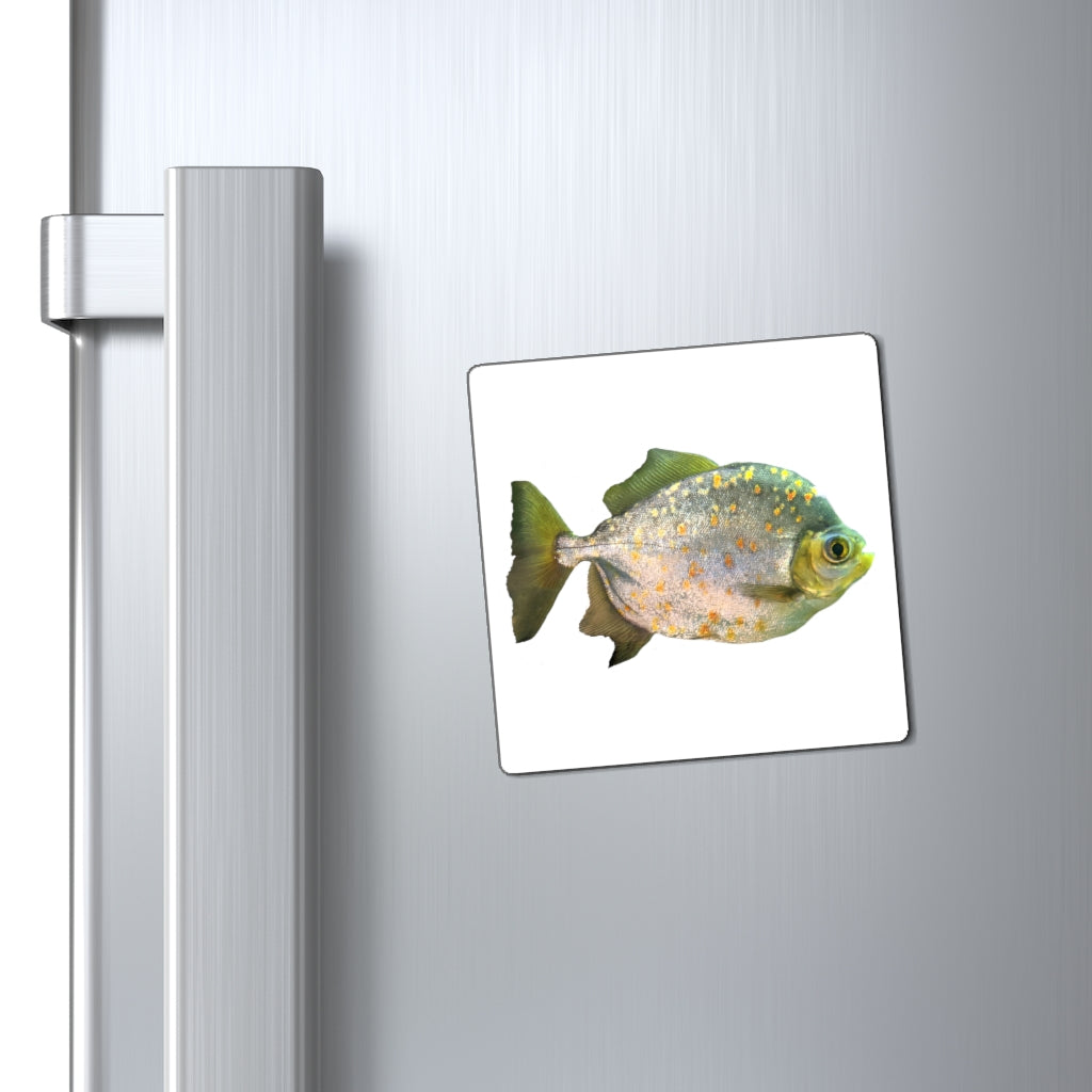 A set of Silver Fish with Specs Magnets showcasing their sleek design and strong magnetic backing, ideal for displaying messages on metallic surfaces.