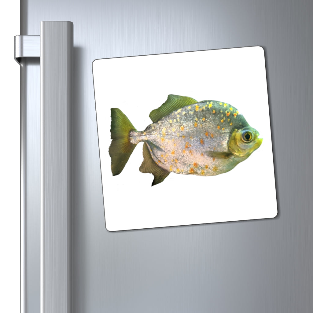 A set of Silver Fish with Specs Magnets showcasing their sleek design and strong magnetic backing, ideal for displaying messages on metallic surfaces.