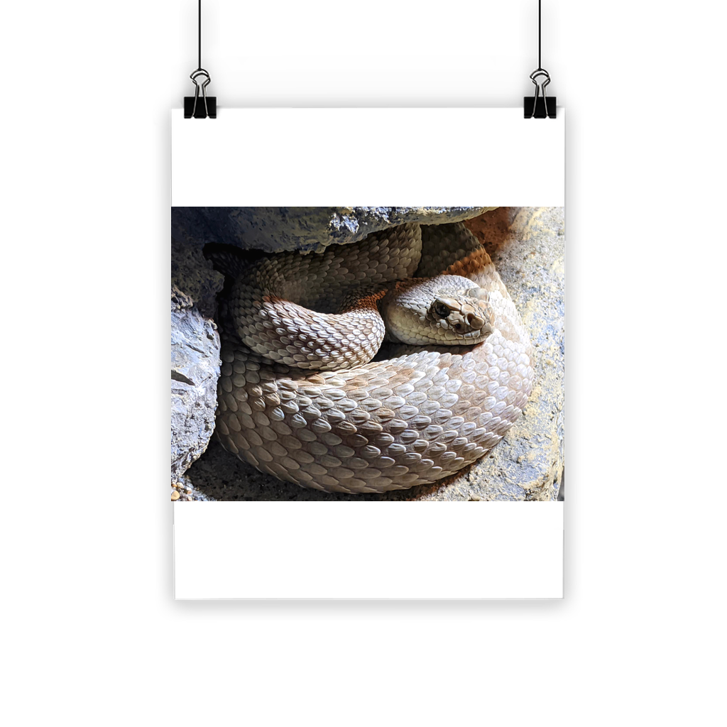 Vibrant Snake Classic Poster printed on semi-gloss paper, showcasing bright colors and eco-friendly design.