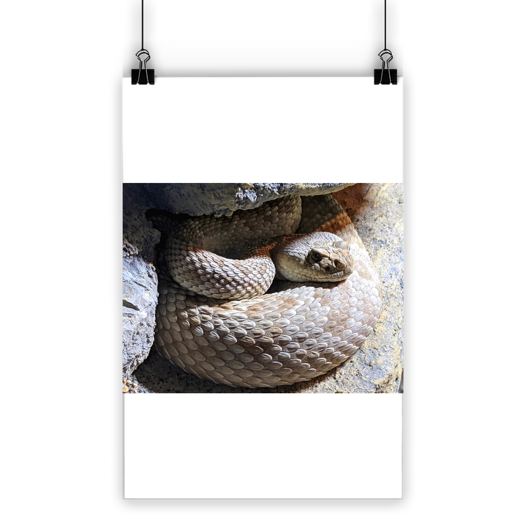 Vibrant Snake Classic Poster printed on semi-gloss paper, showcasing bright colors and eco-friendly design.