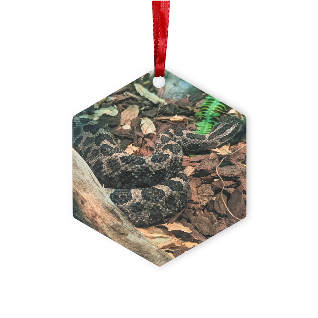 Snake Metal Hanging Ornament in hexagon and star shapes, featuring a glossy white finish and red ribbon for hanging.