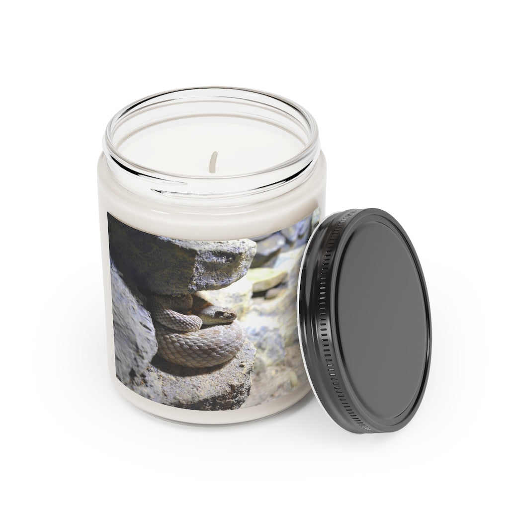 A 9oz Snake Scented Candle in a glass container, featuring a permanent adhesive label, showcasing its vegan soy coconut wax and soothing fragrances.