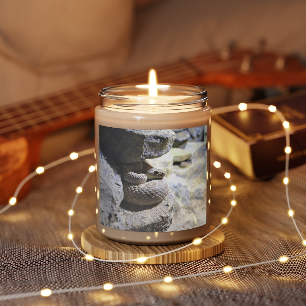 A 9oz Snake Scented Candle in a glass container, featuring a permanent adhesive label, showcasing its vegan soy coconut wax and soothing fragrances.