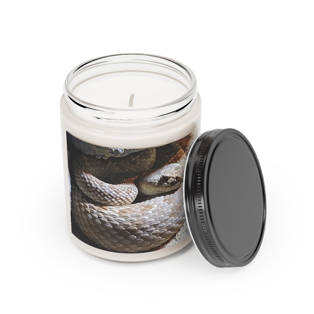 A 9oz Snake Scented Candle in a glass container, featuring a permanent adhesive label, showcasing its vegan soy coconut wax and soothing fragrances.