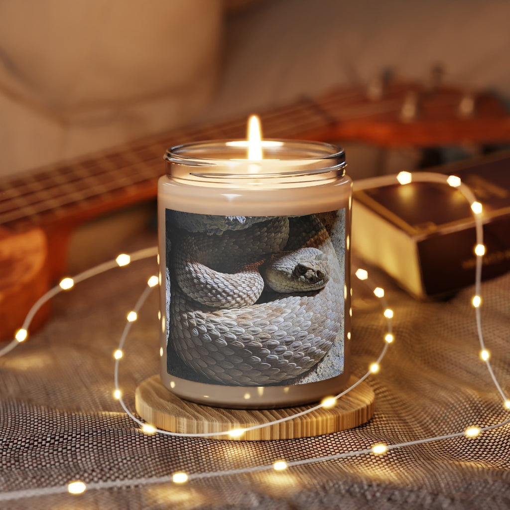 A 9oz Snake Scented Candle in a glass container, featuring a permanent adhesive label, showcasing its vegan soy coconut wax and soothing fragrances.