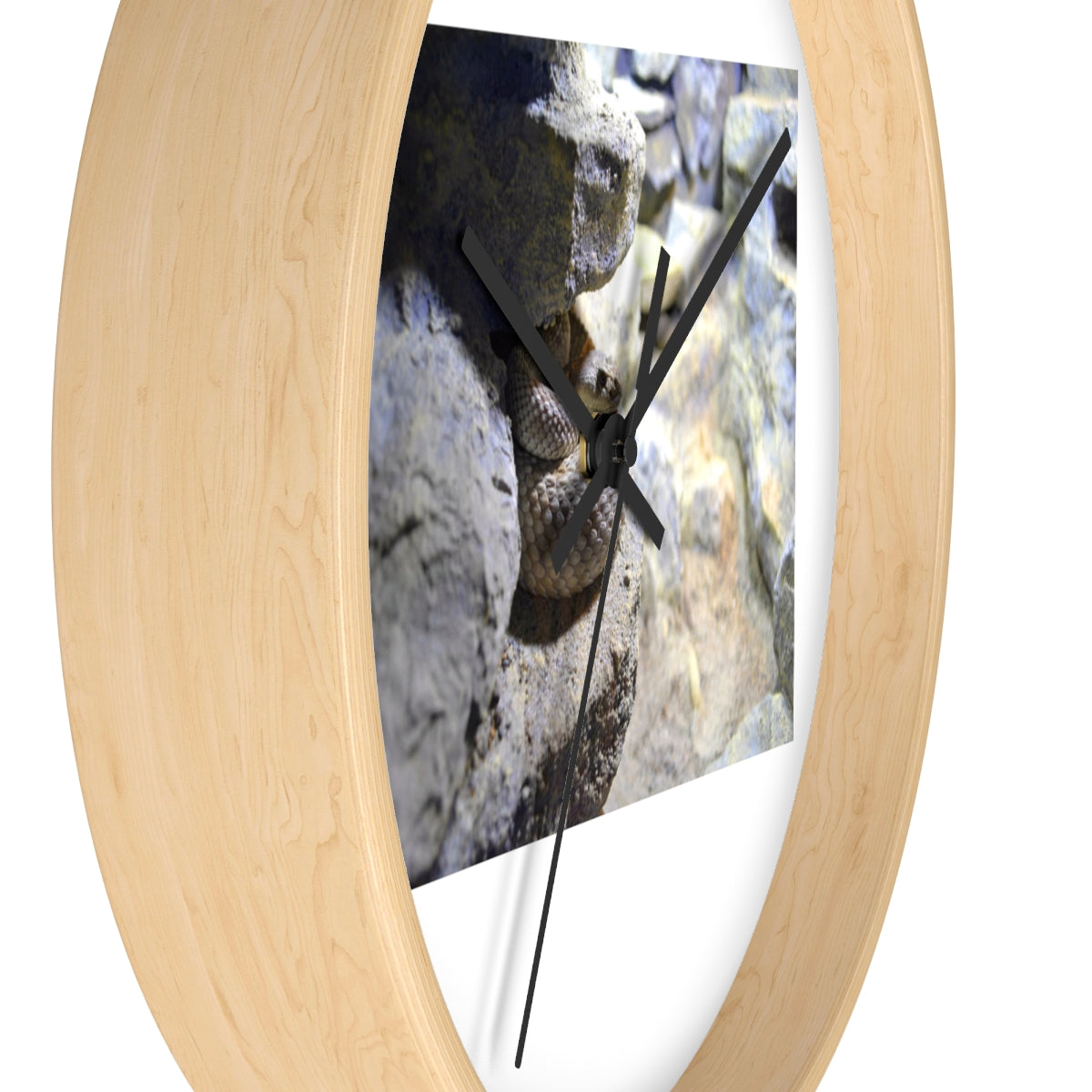 A stylish Snake Wall Clock featuring a unique design with a wooden frame and a clear plexiglass face, perfect for indoor decor.