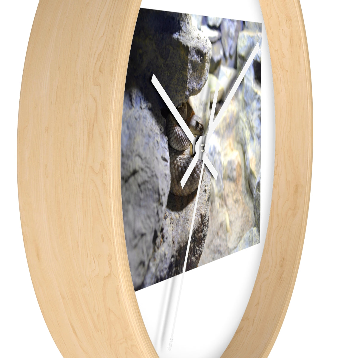 A stylish Snake Wall Clock featuring a unique design with a wooden frame and a clear plexiglass face, perfect for indoor decor.