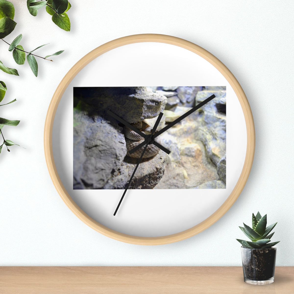 A stylish Snake Wall Clock featuring a unique design with a wooden frame and a clear plexiglass face, perfect for indoor decor.