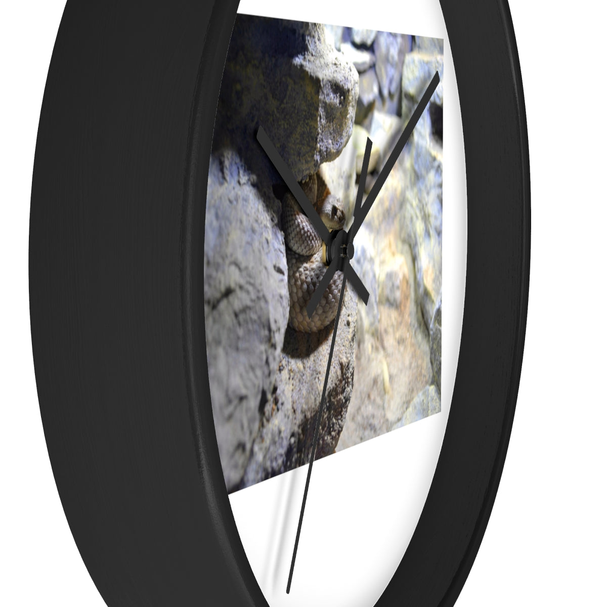 A stylish Snake Wall Clock featuring a unique design with a wooden frame and a clear plexiglass face, perfect for indoor decor.