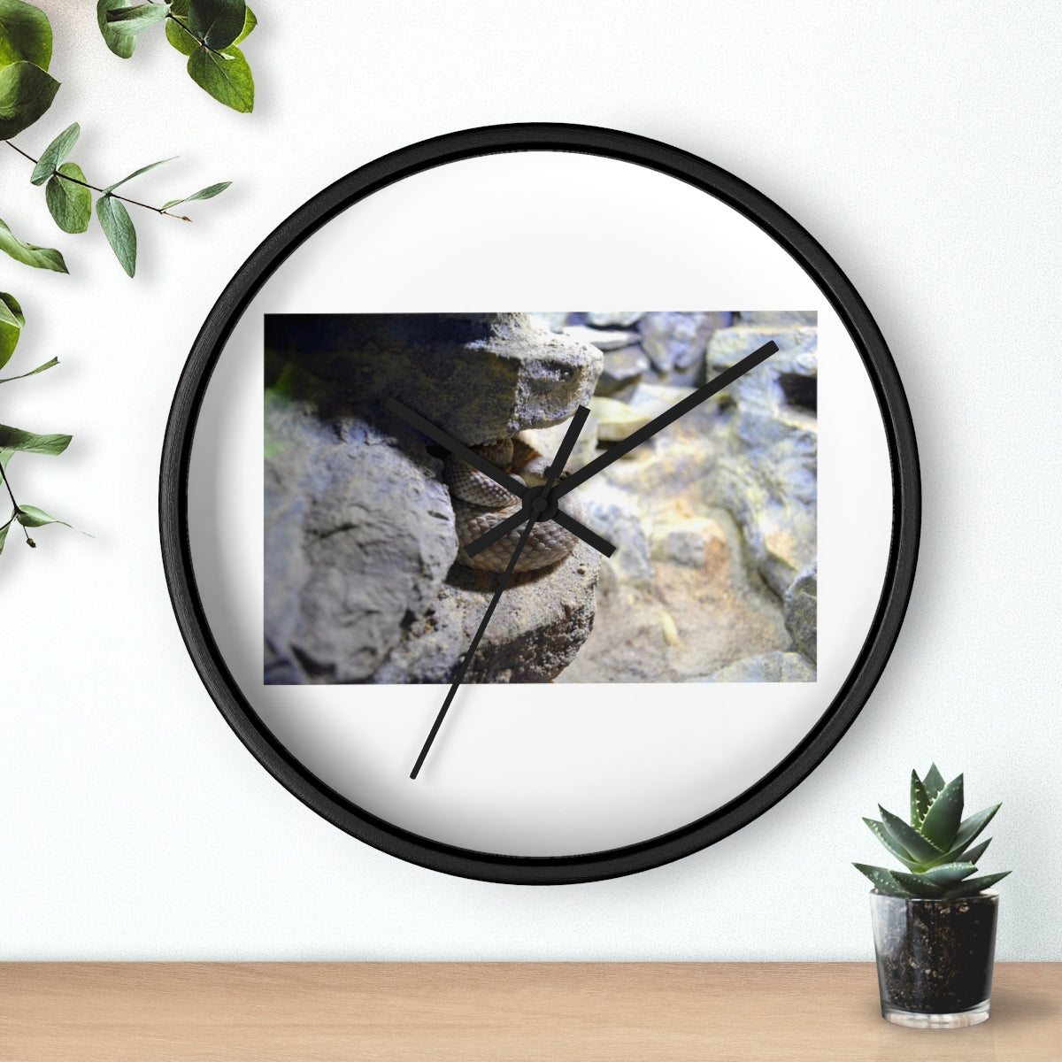 A stylish Snake Wall Clock featuring a unique design with a wooden frame and a clear plexiglass face, perfect for indoor decor.