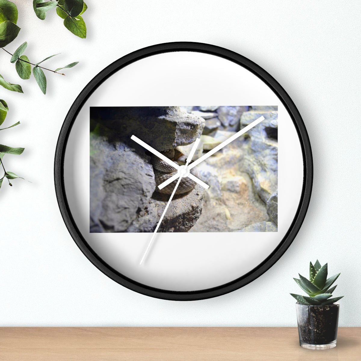 A stylish Snake Wall Clock featuring a unique design with a wooden frame and a clear plexiglass face, perfect for indoor decor.