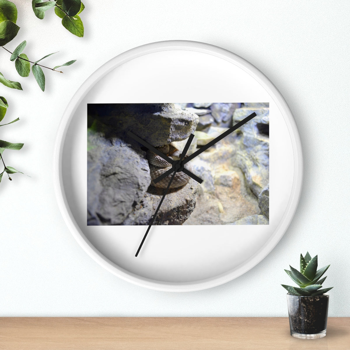 A stylish Snake Wall Clock featuring a unique design with a wooden frame and a clear plexiglass face, perfect for indoor decor.